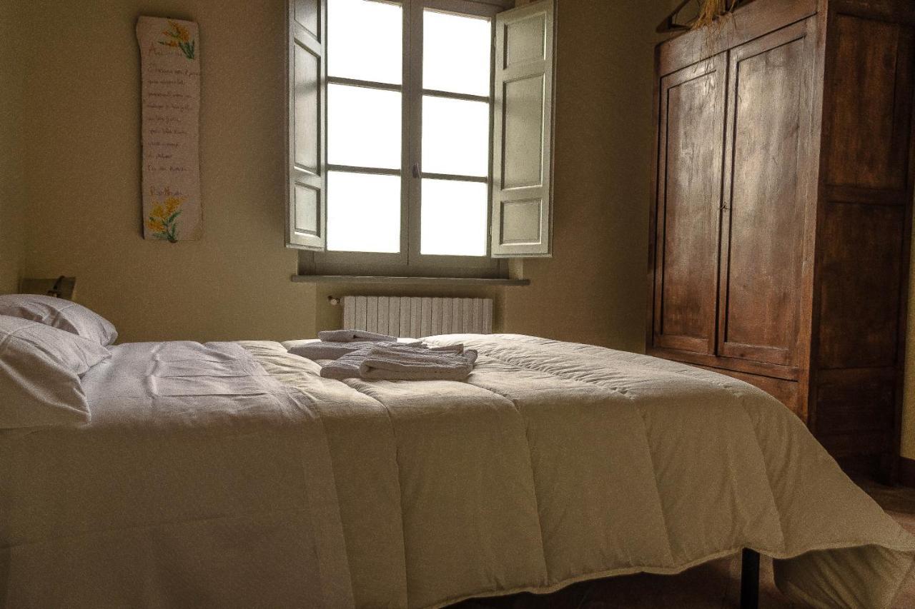 Agriturismo L'Olmo ซานจีมิญญาโน ภายนอก รูปภาพ