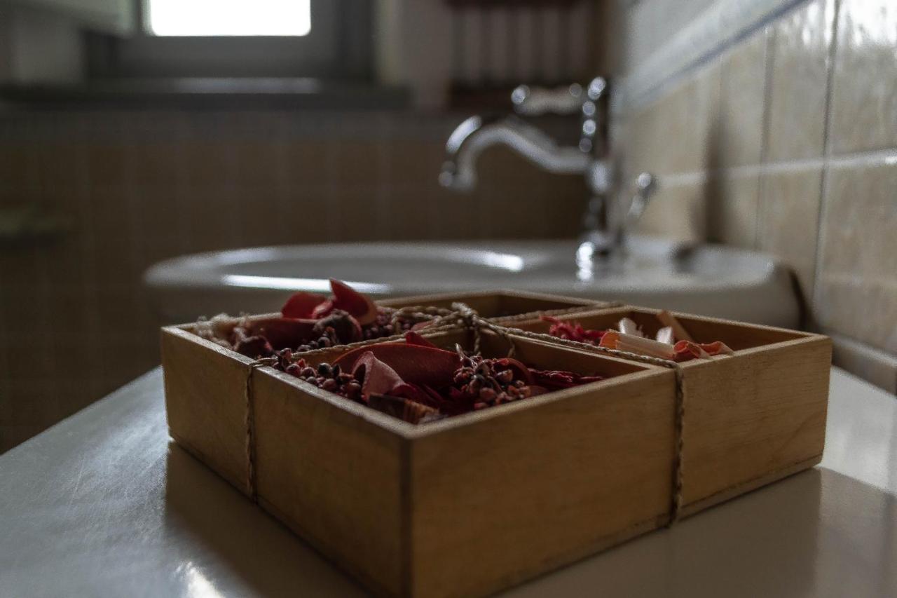 Agriturismo L'Olmo ซานจีมิญญาโน ภายนอก รูปภาพ