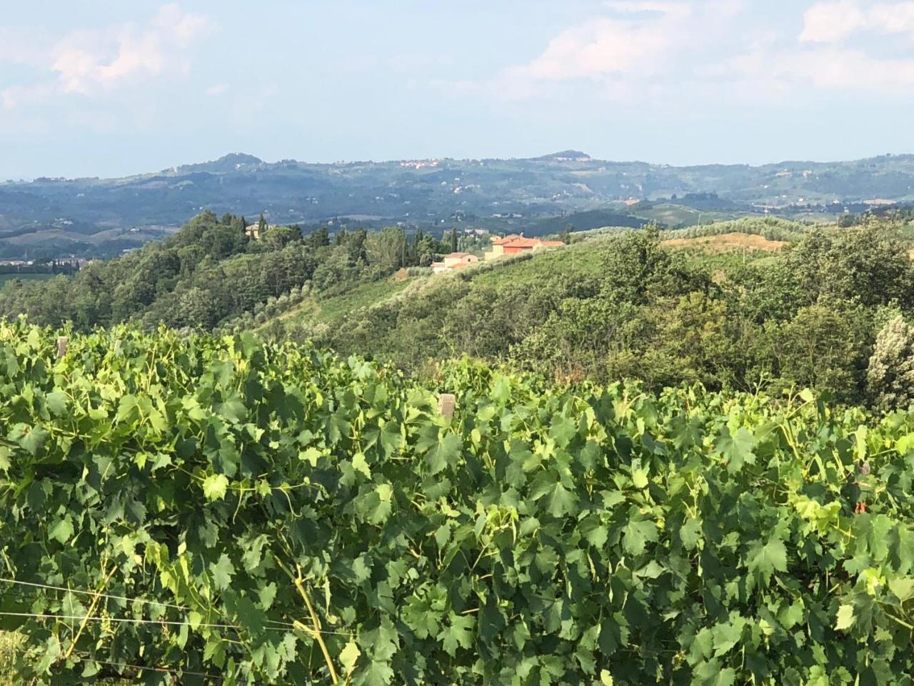 Agriturismo L'Olmo ซานจีมิญญาโน ภายนอก รูปภาพ