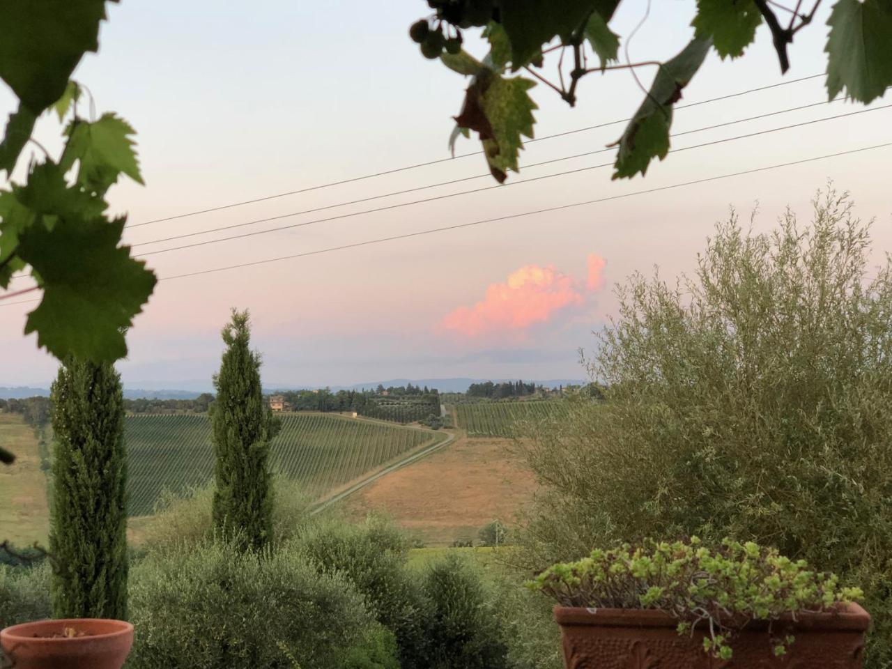 Agriturismo L'Olmo ซานจีมิญญาโน ภายนอก รูปภาพ