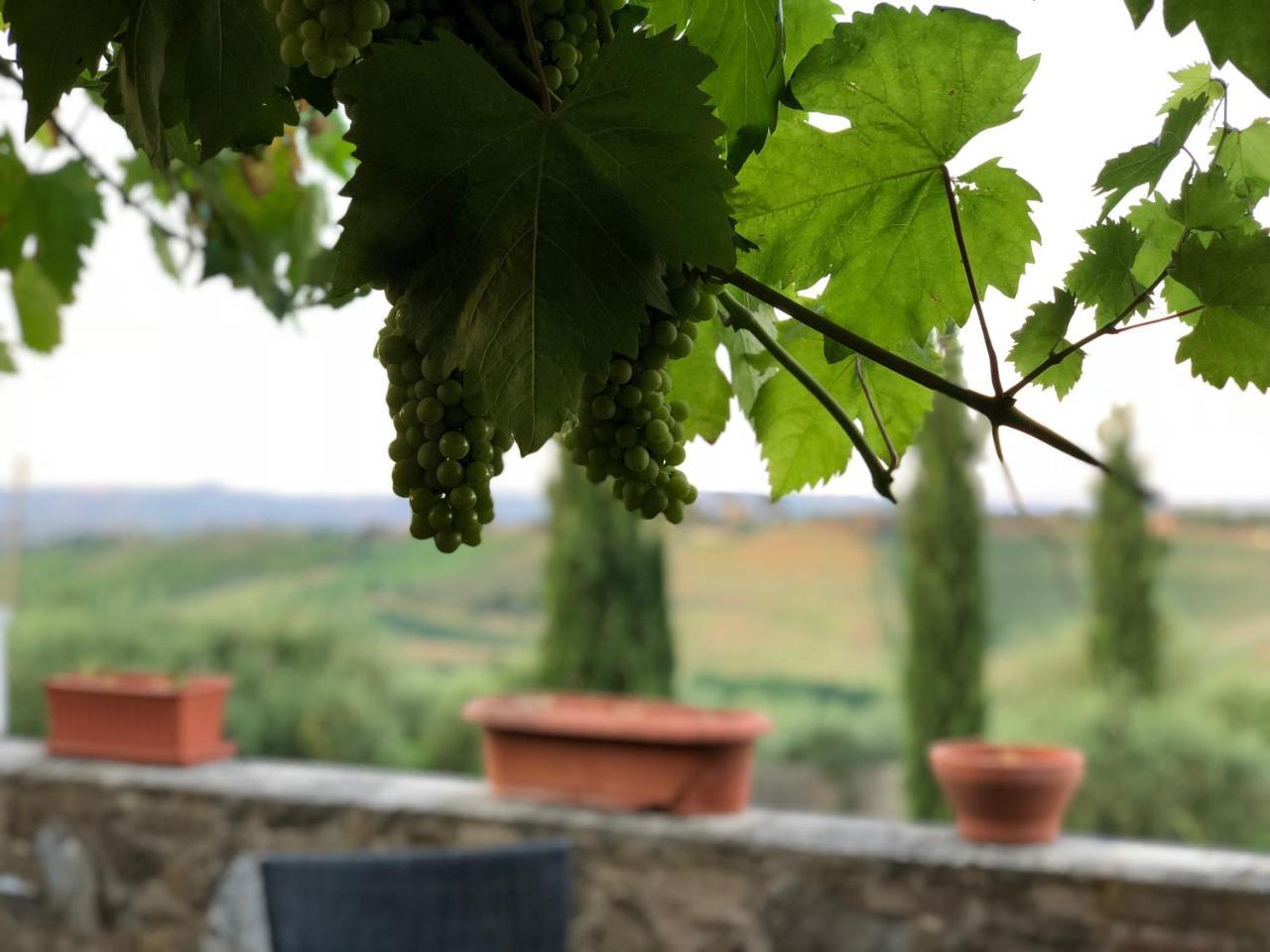 Agriturismo L'Olmo ซานจีมิญญาโน ภายนอก รูปภาพ