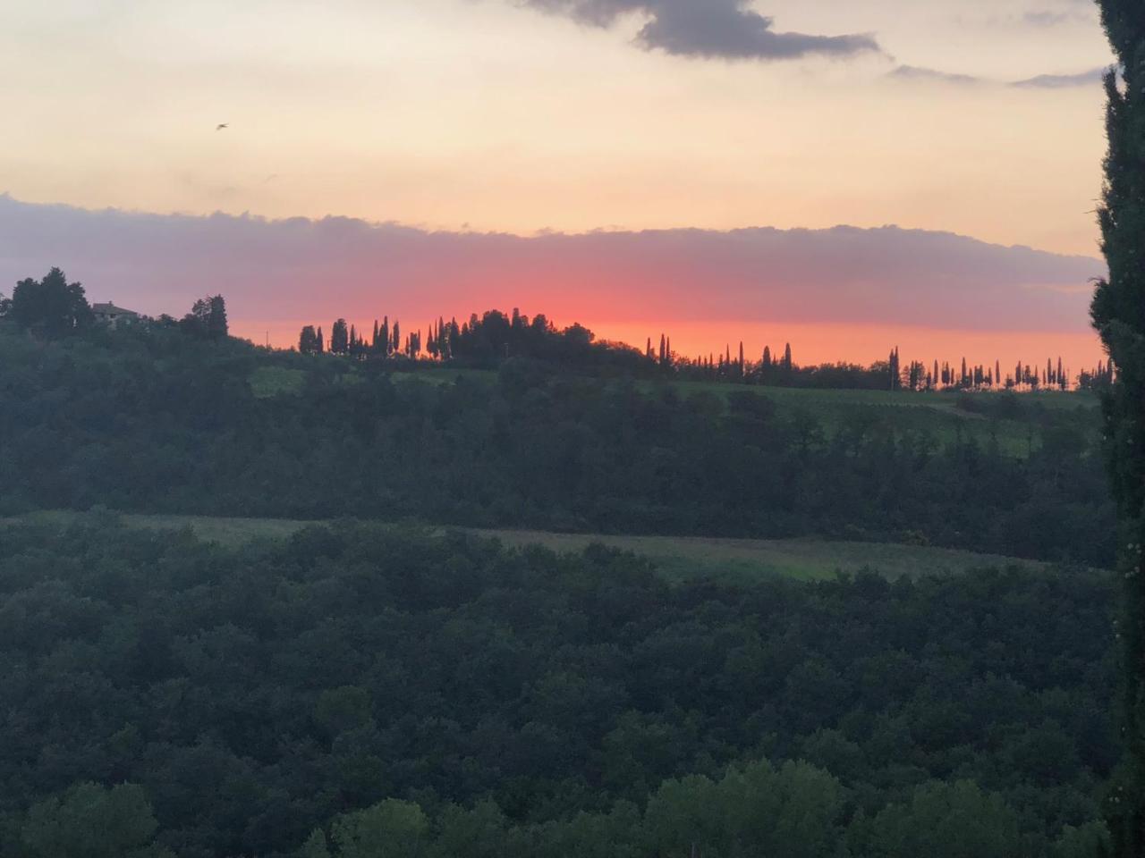 Agriturismo L'Olmo ซานจีมิญญาโน ภายนอก รูปภาพ
